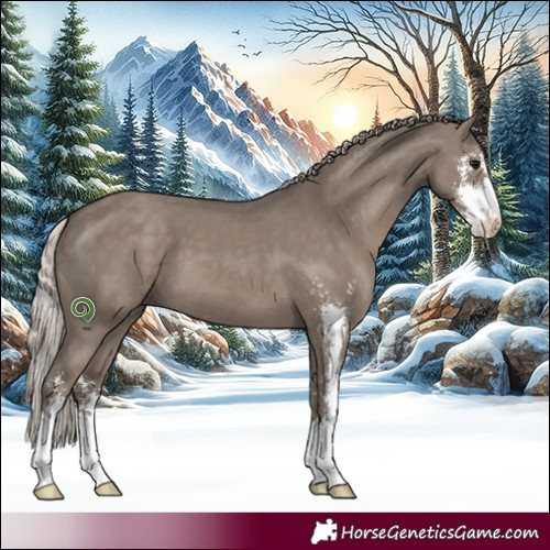 Horse Color:Silver Grullo Sabino 
