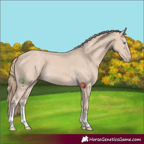 Horse Color:Smoky Creme Sabino 