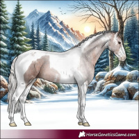 Horse Color:Silver Brown Sabino Tobiano 