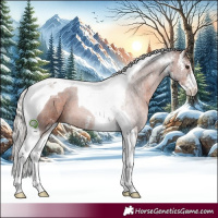 Horse Color:Silver Brown Sabino Tobiano