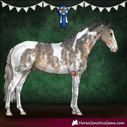 Horse Color:Silver Smoky Black Sabino Tobiano 
