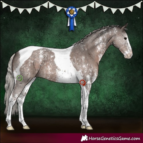 Horse Color:Silver Black Sabino Tobiano 