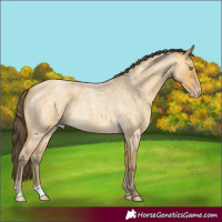 Horse Color:Sable Cream Champagne Roan Rabicano