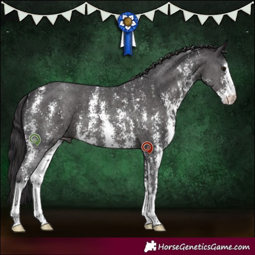 Horse Color:Smoky Black Sabino 