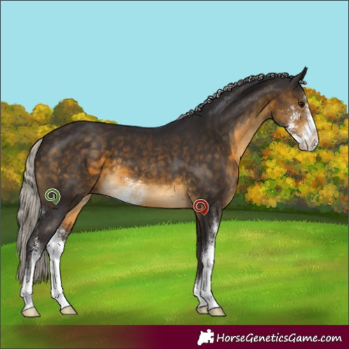Horse Color:Silver Buckskin Sabino 