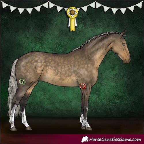 Horse Color:White Spotted Silver Smoky Grullo 