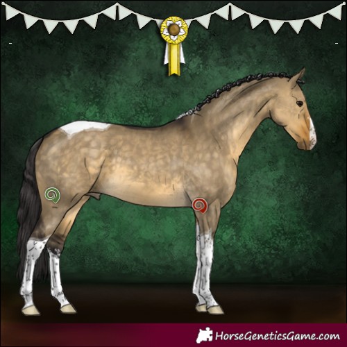Horse Color:White Spotted Buckskin Dun Tobiano 