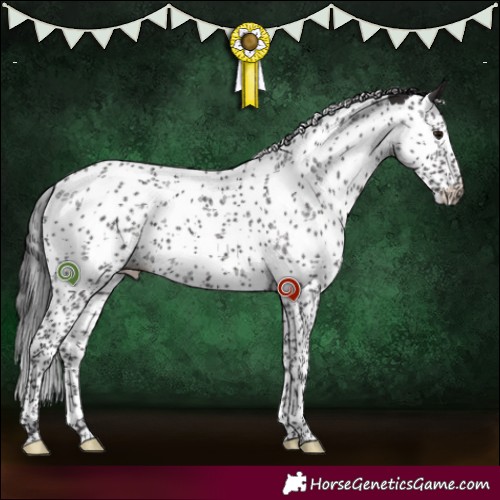 Horse Color:Smoky Black Sabino 