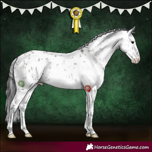 Horse Color:White Spotted Smoky Grullo Sabino Rabicano 