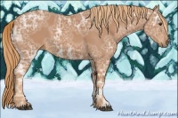 Horse Color:Chestnut Ice 
