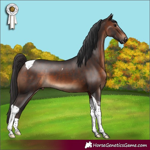 Horse Color:Brown Tobiano