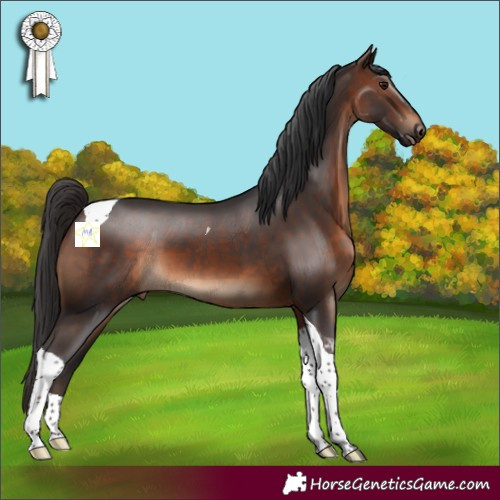 Horse Color:Brown Tobiano 