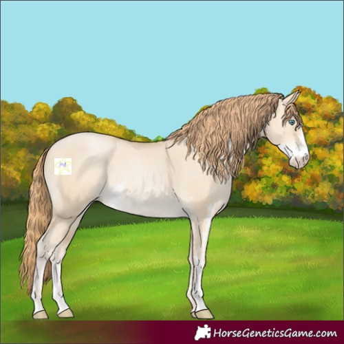 Horse Color:Smoky Grullo Pearl Sabino 