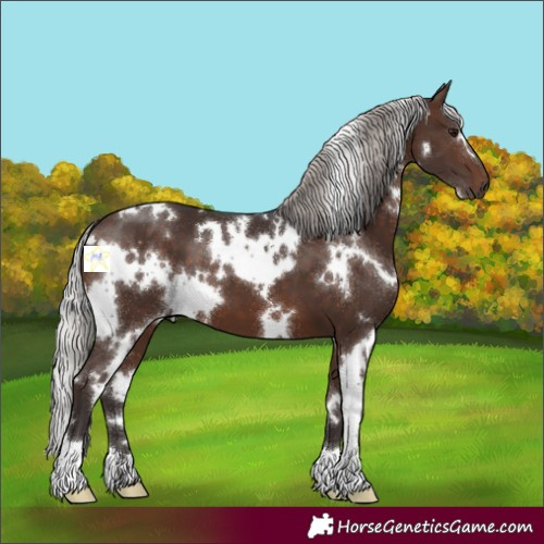 Horse Color:White Spotted Silver Brown 