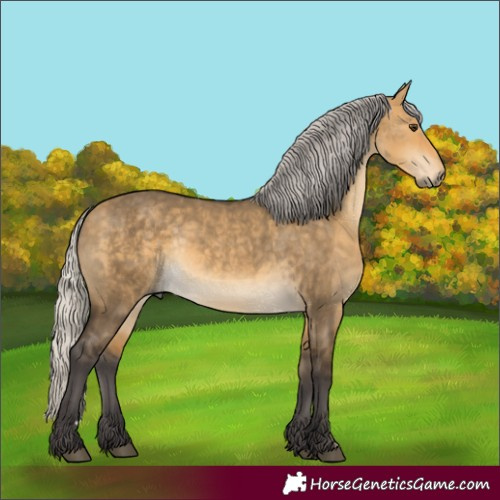 Horse Color:Silver Buckskin Dun Rabicano 