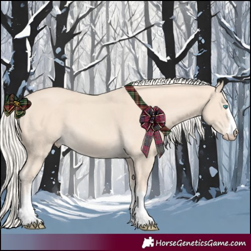 Horse Color:Cremello 