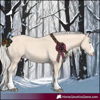 Horse Color:Cremello 