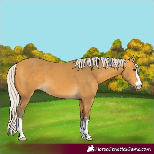Horse Color:Silver Buckskin 