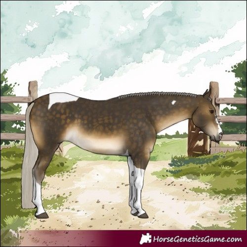 Horse Color:Silver Buckskin Tobiano