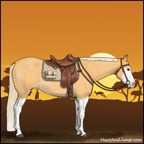 Horse Color:Palomino Roan Splash 