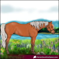 Horse Color:Silver Bay 