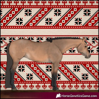 Horse Color:Bay Dun 
