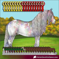 Horse Color:Nacre White Spotted Chocolate Silver Bay Chinchilla Onyx