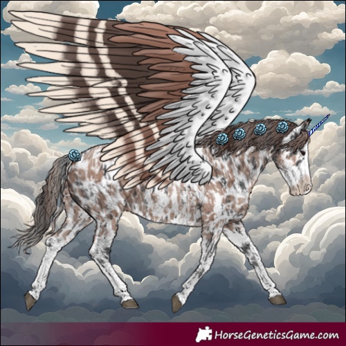 Horse Color:Black Sabino Splash Appaloosa  and Classic Champagne Sabino Splash Appaloosa 