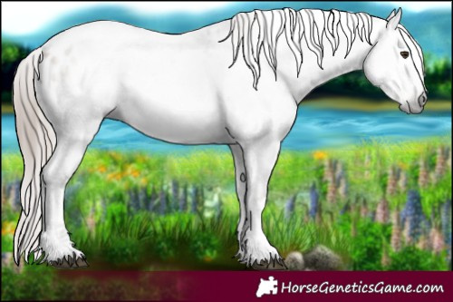 Horse Color:Gray Red Onyx Ice Pearl Tobiano Blanket