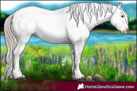 Horse Color:Gray Red Onyx Ice Pearl Tobiano Appaloosa 