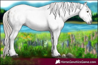 Horse Color:Gray Red Onyx Ice Pearl Tobiano Blanket 