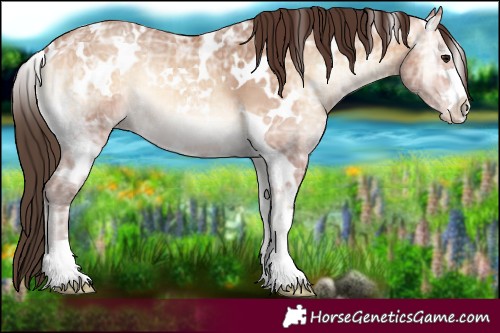 Horse Color:White Spotted Amber Champagne Ice Onyx 