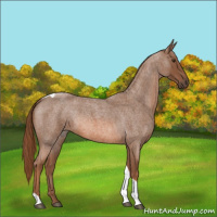 Horse Color:Red Roan Tobiano 