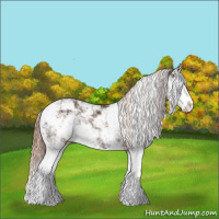 Horse Color:Liver Chestnut Sabino Splash Appaloosa and Liver Chestnut Sabino Splash Appaloosa