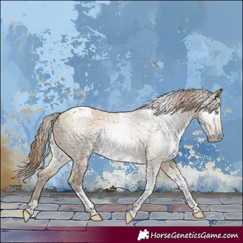 Horse Color:Gray Smoky Creme Dun Tobiano 