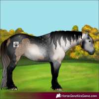 Horse Color:Gray Void Bay Dun Splash Tobiano Varnish 