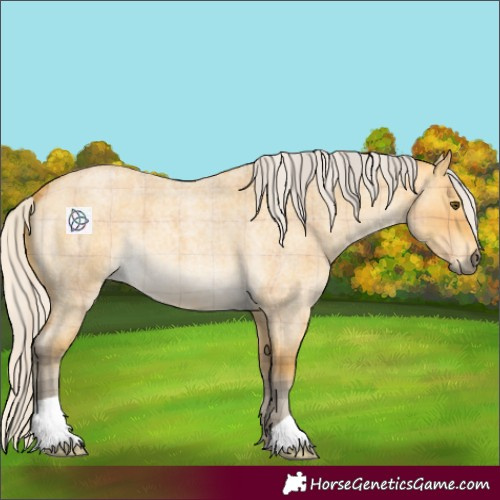 Horse Color:Plaid Silver Buckskin Roan Dun
