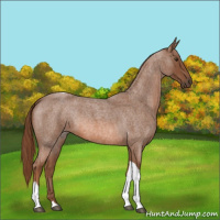 Horse Color:Red Roan Tobiano 