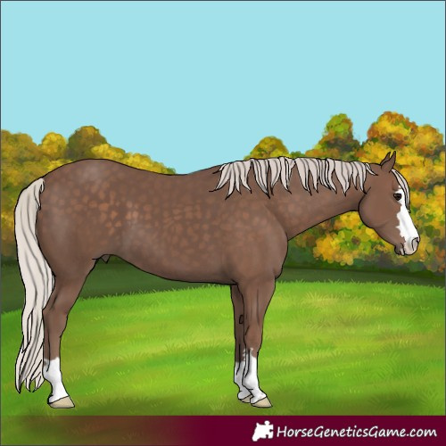 Horse Color:Silver Black 