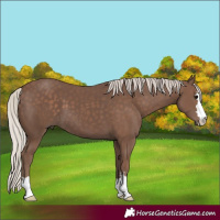 Horse Color:Silver Black 