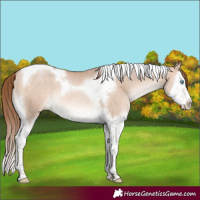 Horse Color:Brown Pearl Dun Mushroom Splash Tobiano