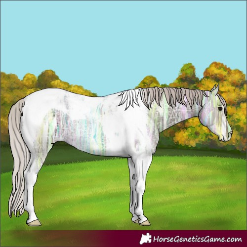 Horse Color:Silver Black Ice Tobiano Rabicano