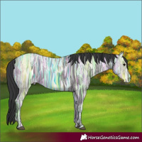 Horse Color:Black Ice 