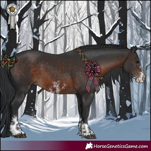 Horse Color:Brown and Brown Sabino