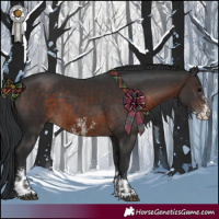 Horse Color:Brown and Brown Sabino