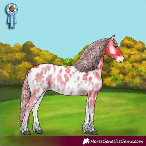 Horse Color:Watercolor White Spotted Chocolate Palomino Onyx Appaloosa 