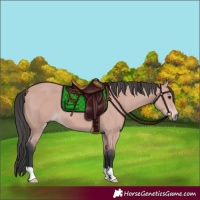 Horse Color:Platinum Bay