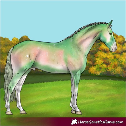 Horse Color:Watercolor Chocolate Palomino Onyx Sabino Appaloosa 