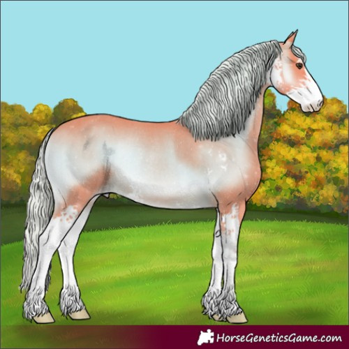 Horse Color:Watercolor Chocolate Palomino Onyx Sabino Appaloosa Rabicano 