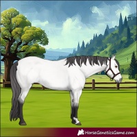 Horse Color:Platinum Buckskin Dun 